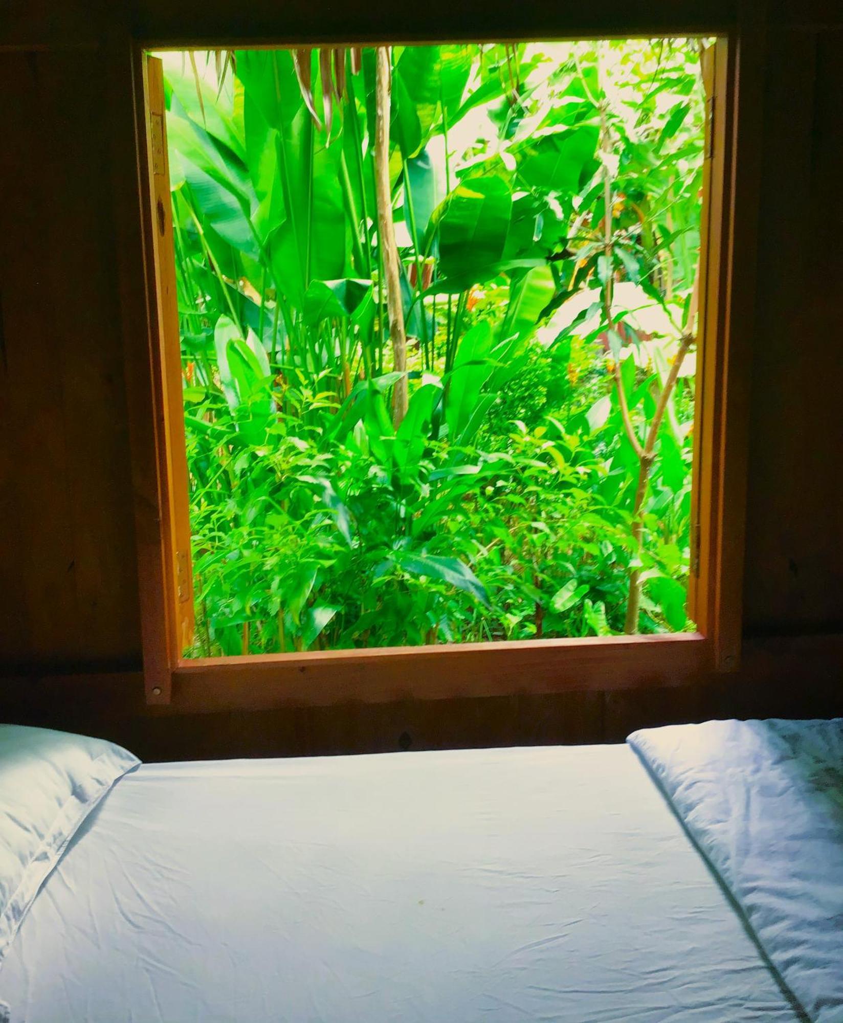 Ben Tre Farm Stay Exteriér fotografie