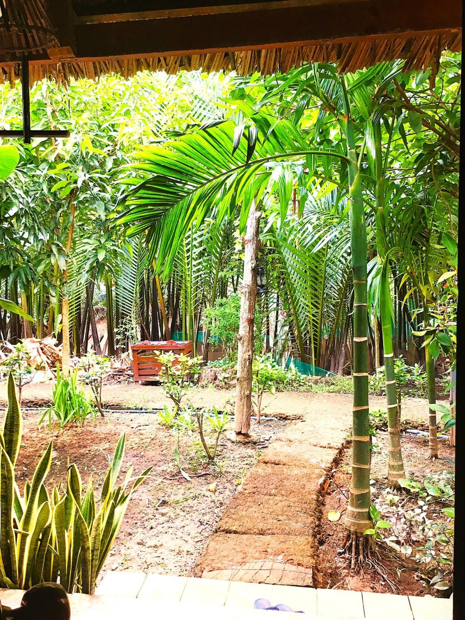 Ben Tre Farm Stay Exteriér fotografie