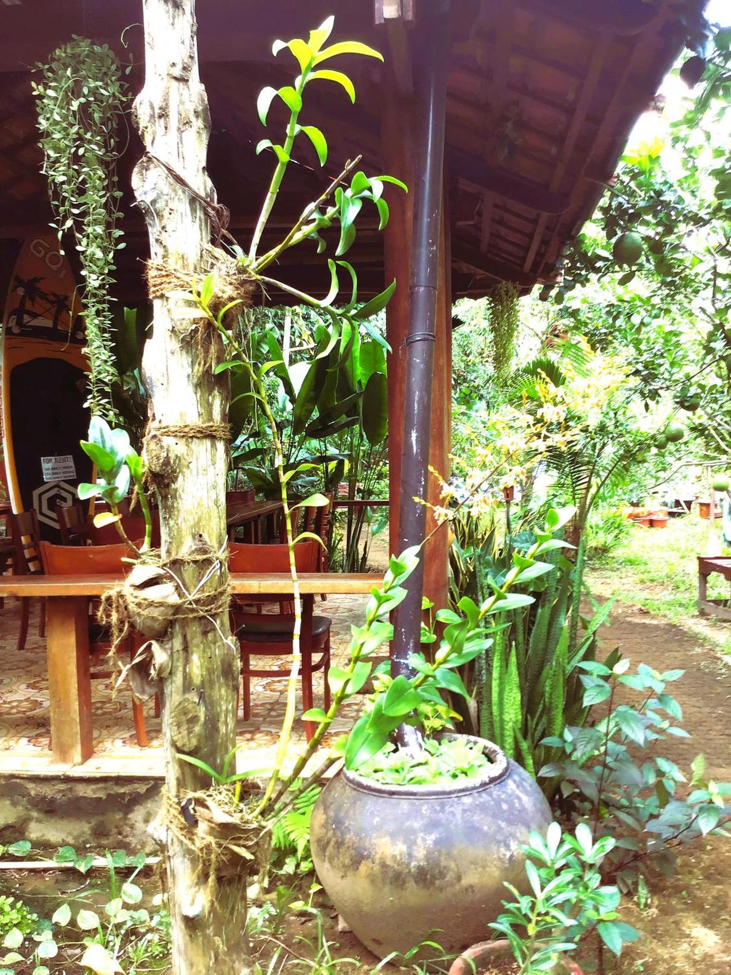 Ben Tre Farm Stay Exteriér fotografie