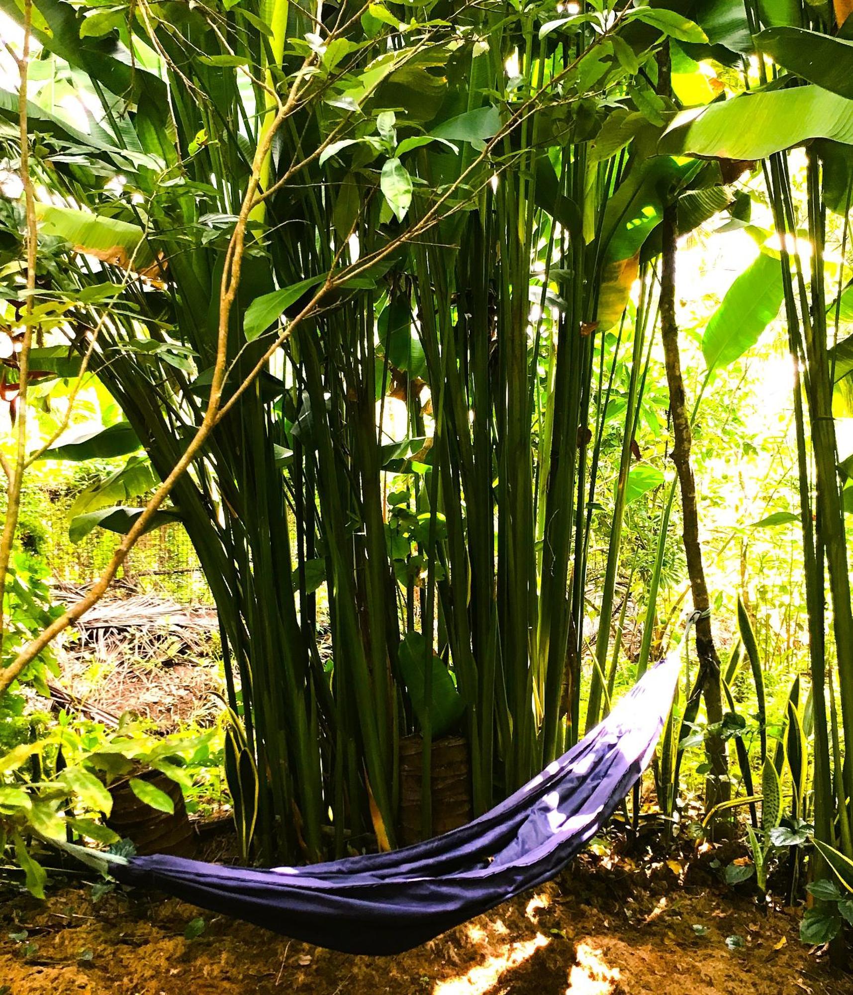 Ben Tre Farm Stay Exteriér fotografie