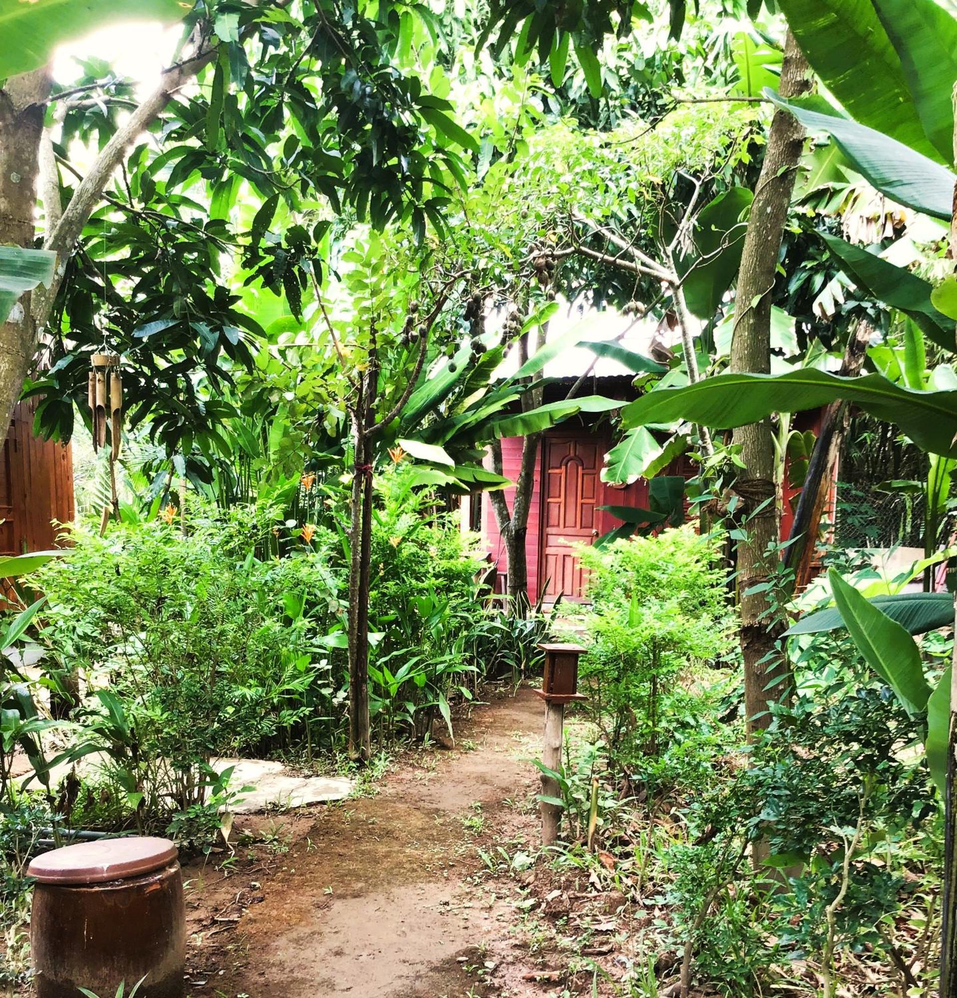 Ben Tre Farm Stay Exteriér fotografie